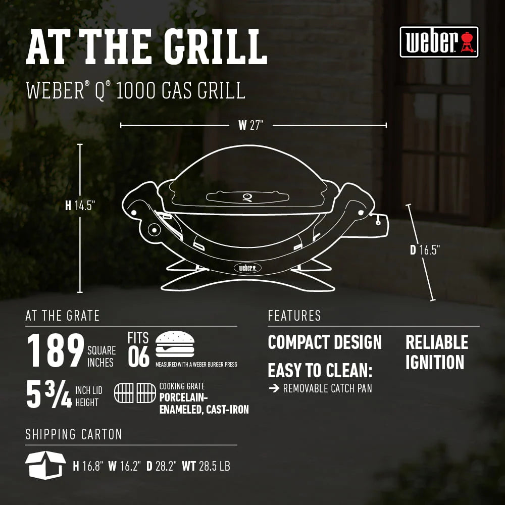 Q 1000 1-Burner Portable Gas Grill, Titanium