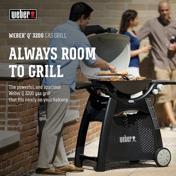 Q 3200 2-Burner Propane Gas Grill in Titanium with Built-In Thermomter