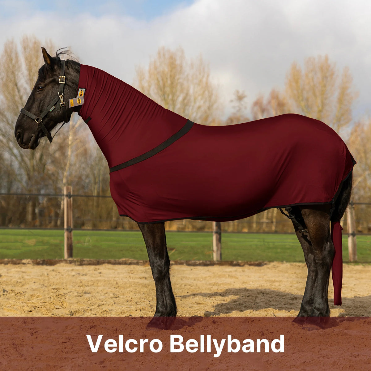 Premium Horse Full Body Slinky - Full Zipper & Faceless - Lycra Material - Available in 11 Colors