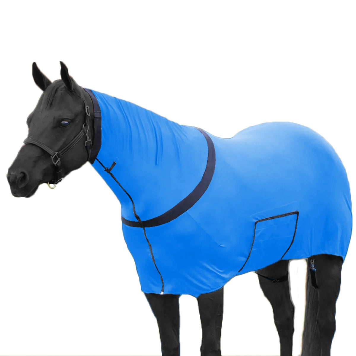 Premium Horse Full Body Slinky - Full Zipper & Faceless - Lycra Material - Available in 11 Colors