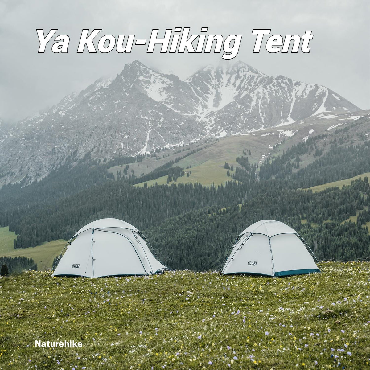 Naturehike, Hiking Tent, Large Space Outdoor Camping Tent, Lightweight Backpacking Tent with Vestibule, Waterproof Four Seasons Dome Tent, Stable Tri-Cross Support Structure, Strong Wind Resistance