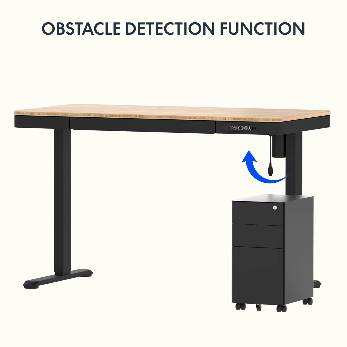 FLEXISPOT 48" W Home Office Height Adjustable Standing Desk White and Maple with USB Charge Ports and Embedded Drawer