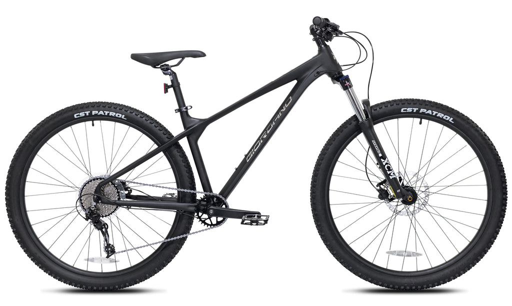 29-inch Men's Intrepid Mountain Bike, Black