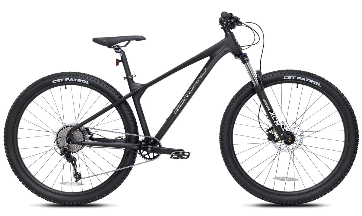 29-inch Men's Intrepid Mountain Bike, Black