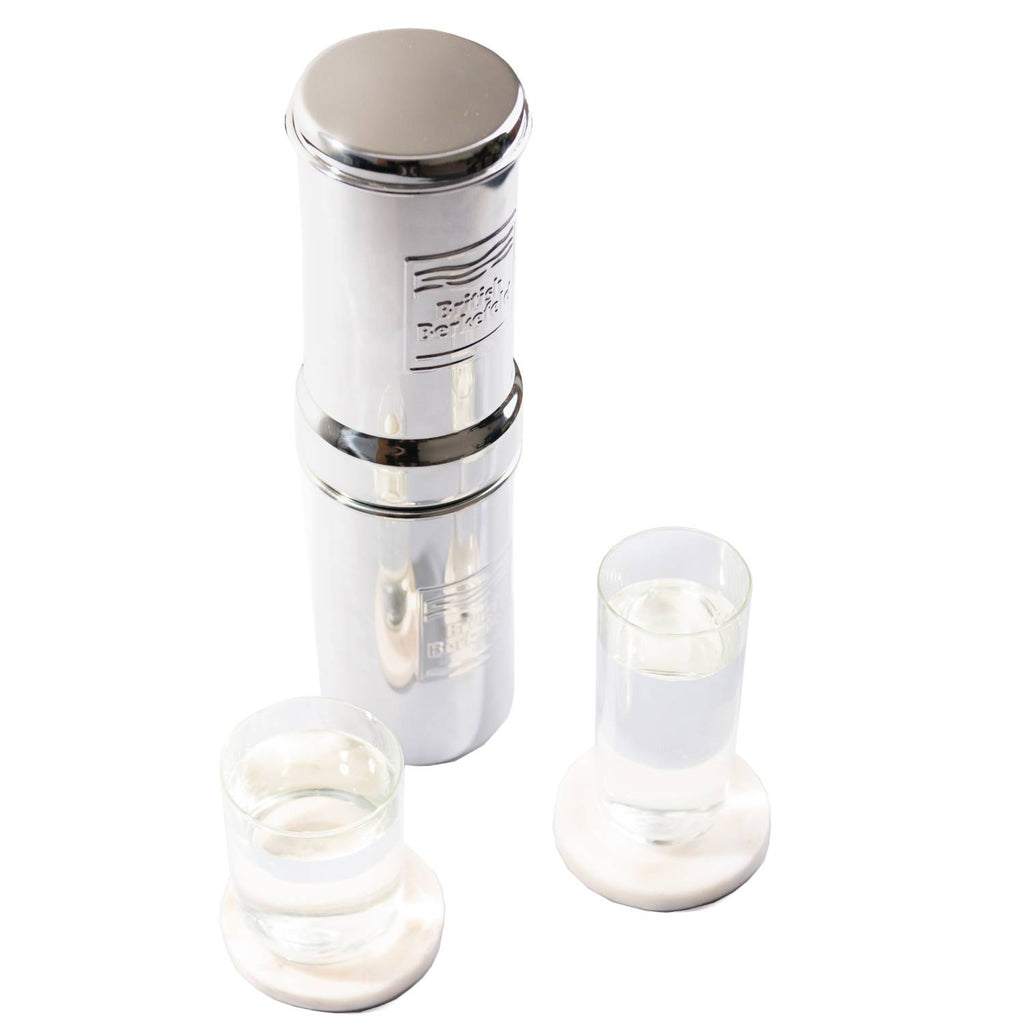 British Berkefeld Doulton Gravity Water Filter System 1 Liter Compact Portable Stainless Steel Water Filter System for Home with 1 Doulton NSF certified Ceramic Ultra Sterasyl Cartridge