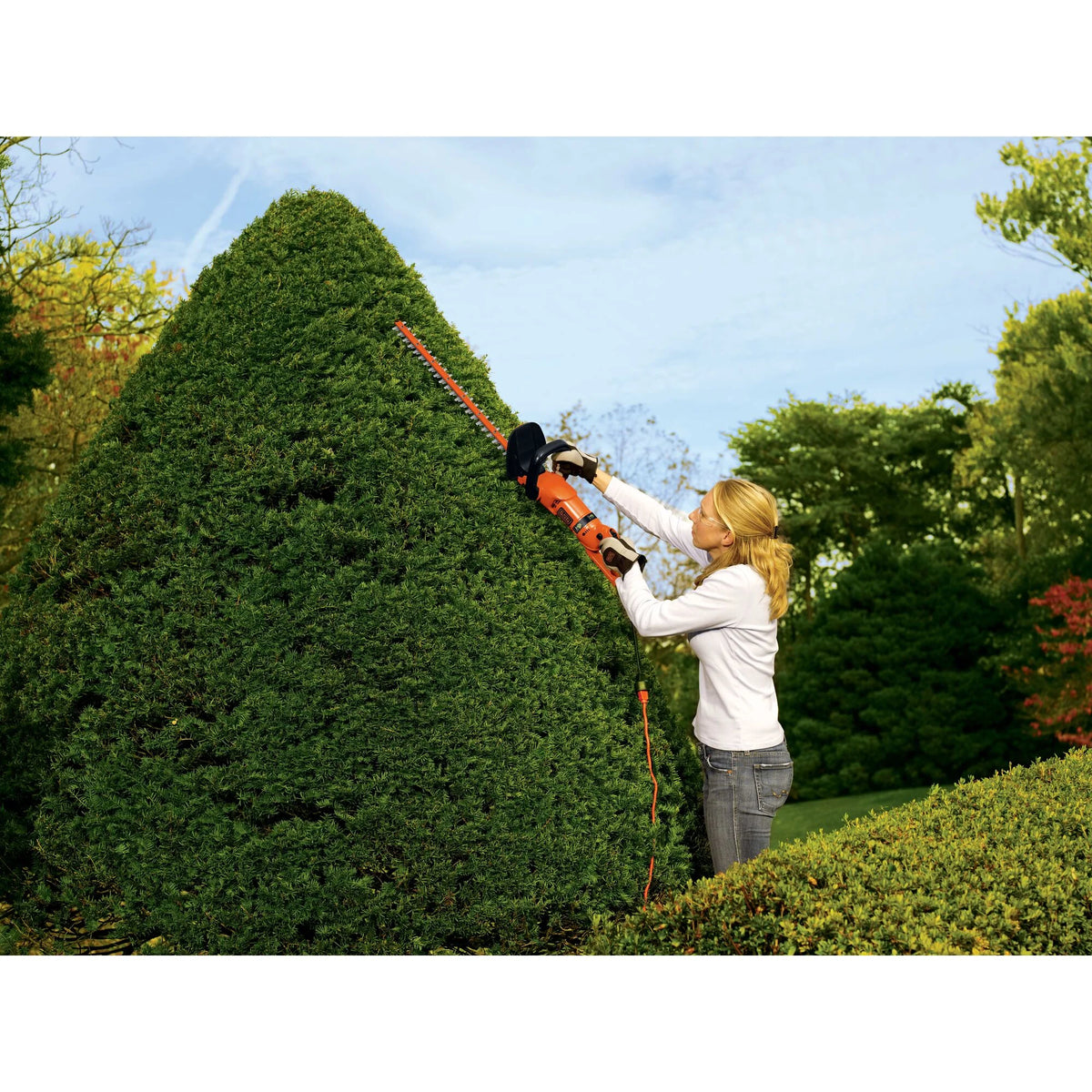 BLACK+DECKER HH2455 3.3 Amp HedgeHog 24" Hedge Trimmer with Rotating Handle