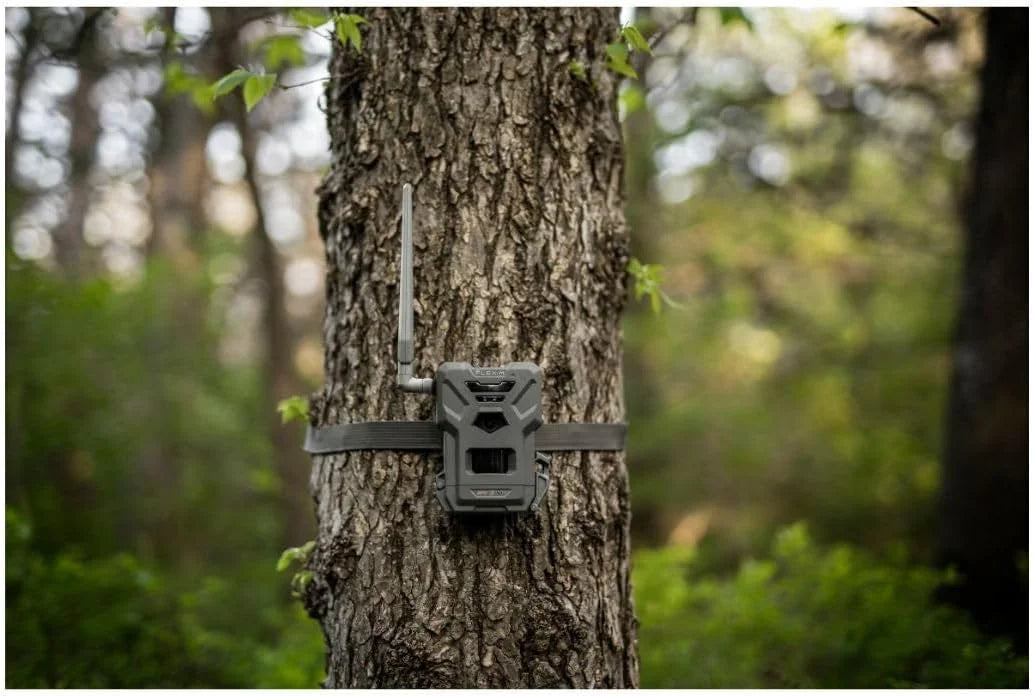 SPYPOINT Flex-m Twin Pack Cellular Trail Camera Hunting Trail Monitor with GPS, Night Vision, Dual-Sim LTE, IP65 Water-Resistant