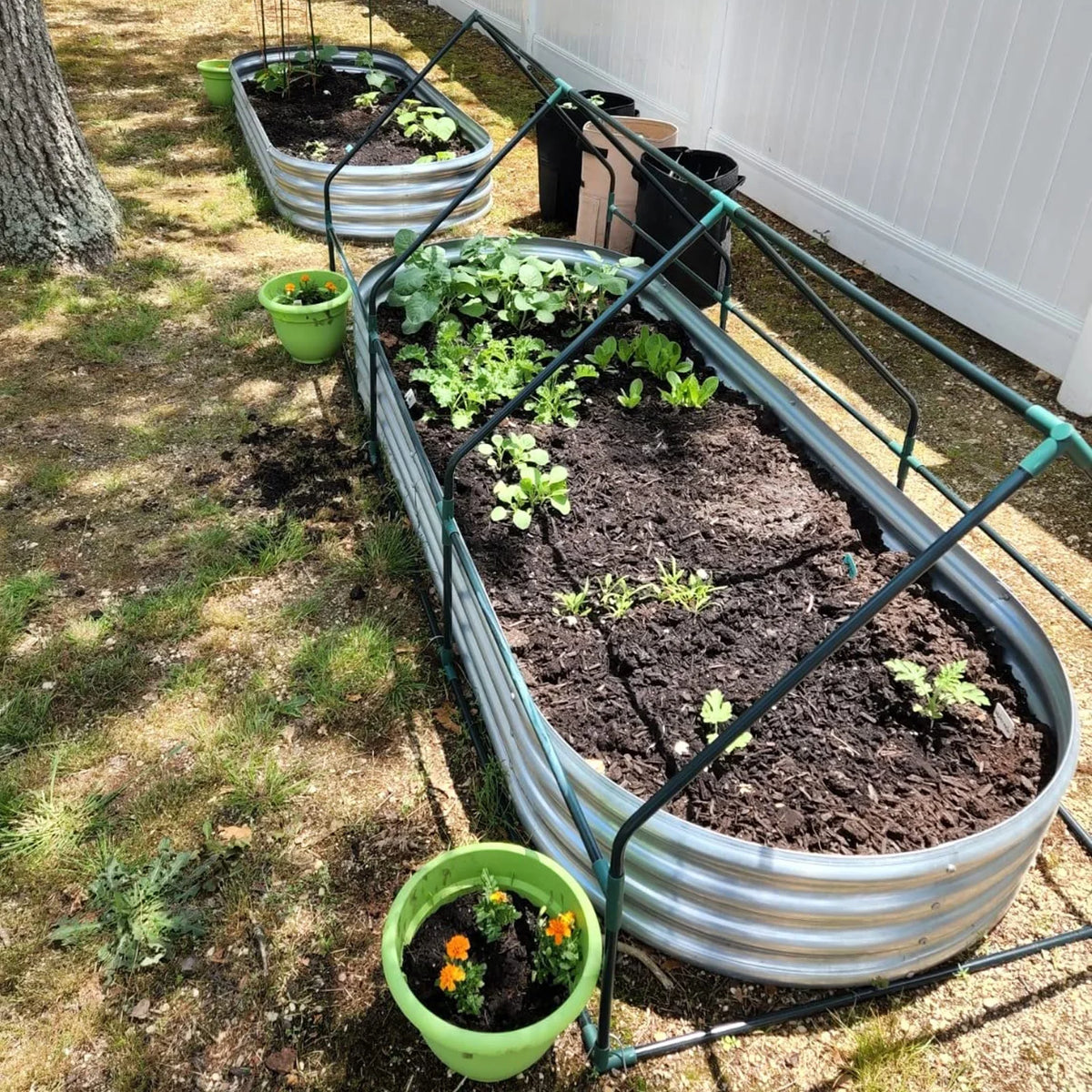Galvanized Raised Garden Bed Kit 2Pack 8ft, Galvanized Planter Raised Garden Boxes Outdoor, Oval Metal Raised Garden Beds