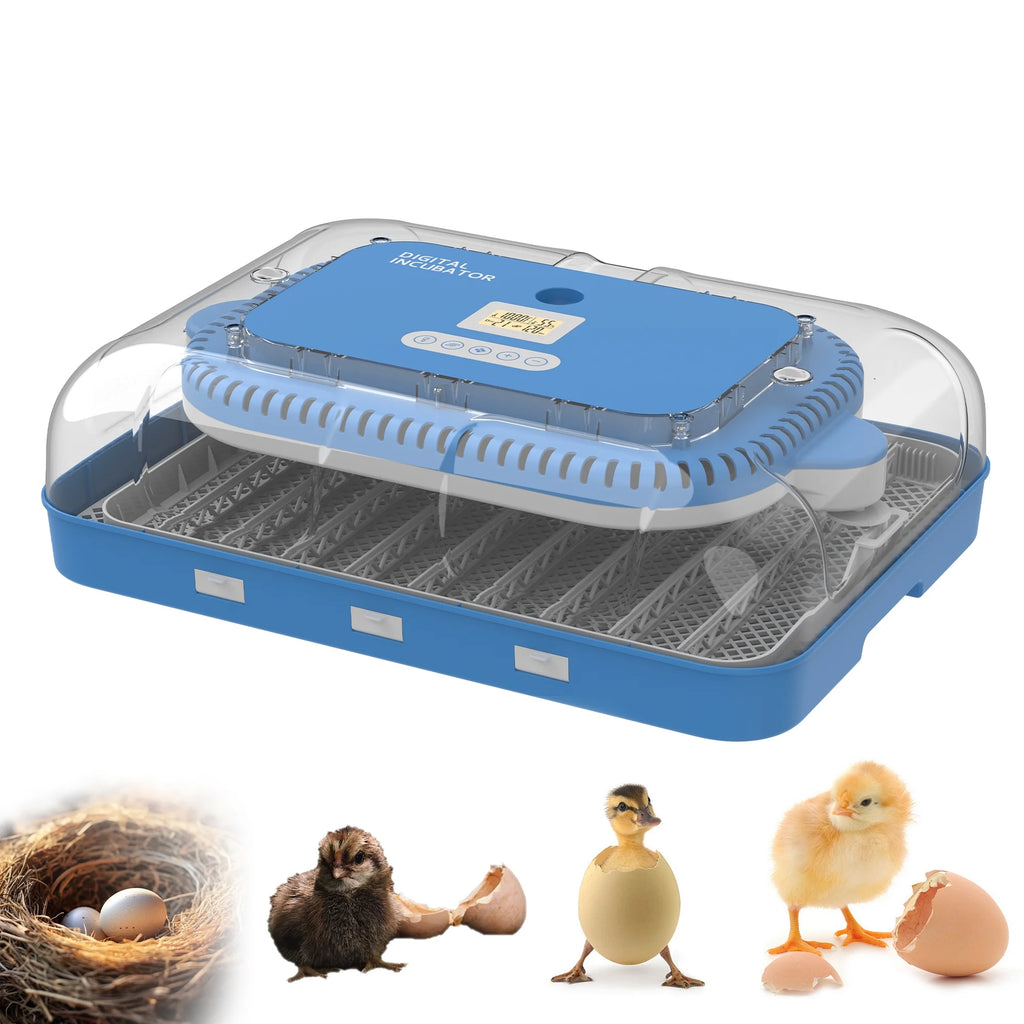 Montary 56 Egg Incubator: Auto Turning, Humidity Control & Water Refill for Chicken/Duck/Goose Eggs w/ Candler