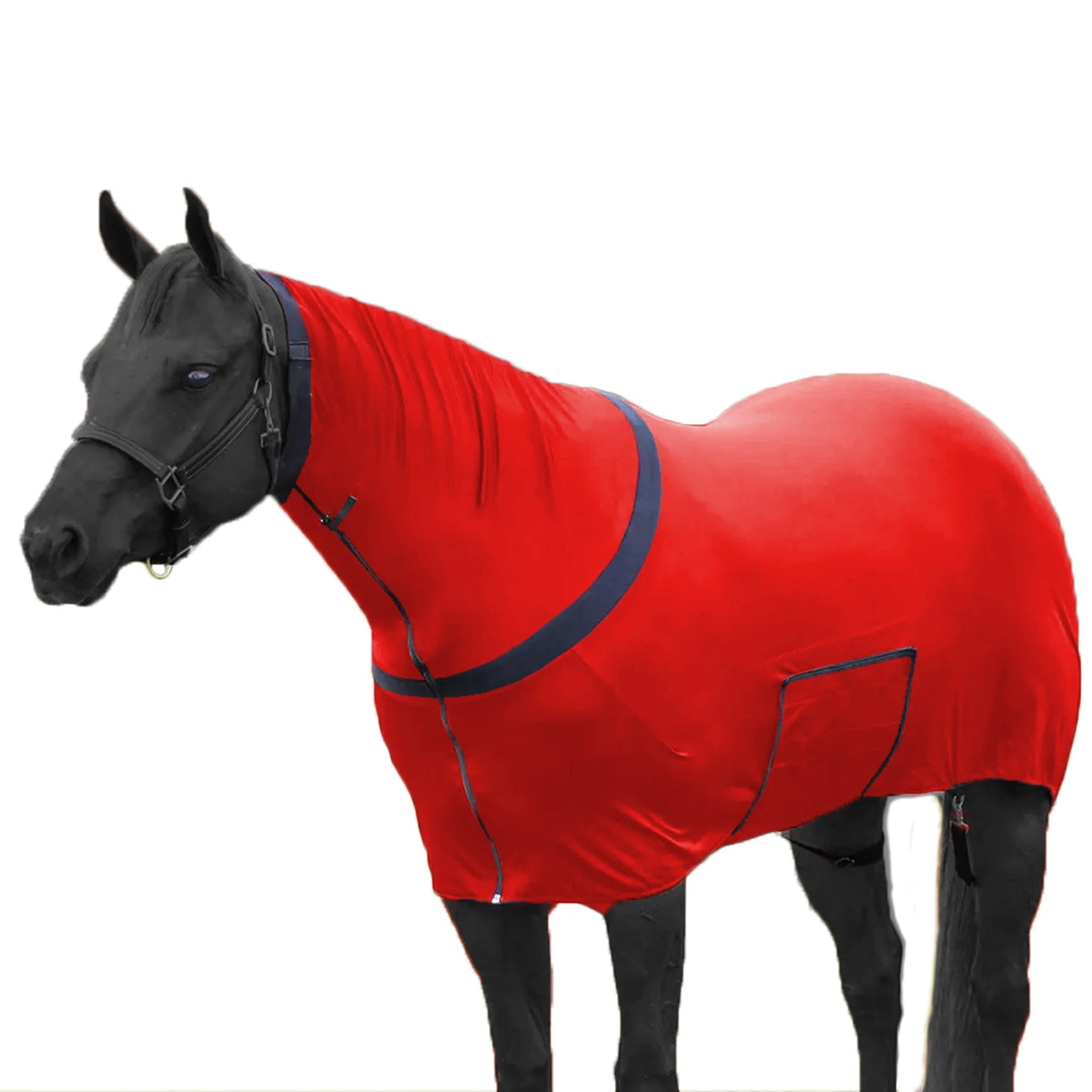 Premium Horse Full Body Slinky - Full Zipper & Faceless - Lycra Material - Available in 11 Colors