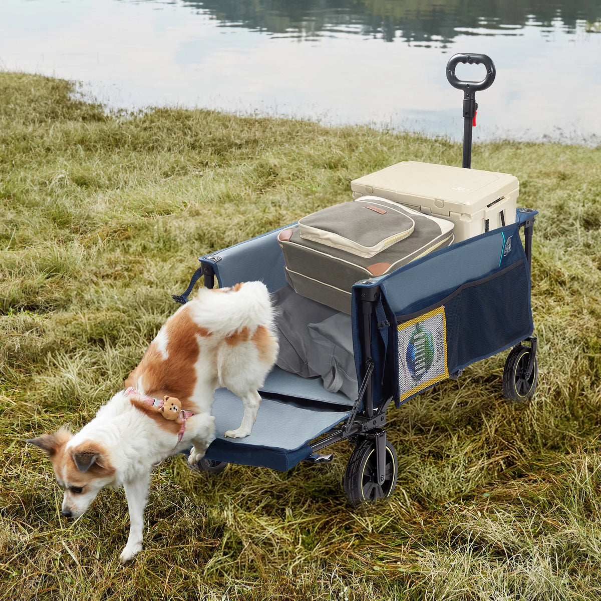 TIMBER RIDGE 250L Foldable Wagon with Tailgate and Brakes, 49" Extra Long Collapsible Heavy Duty 300 lbs Large Capacity Cart for Sports, Shopping, Camping, Blue