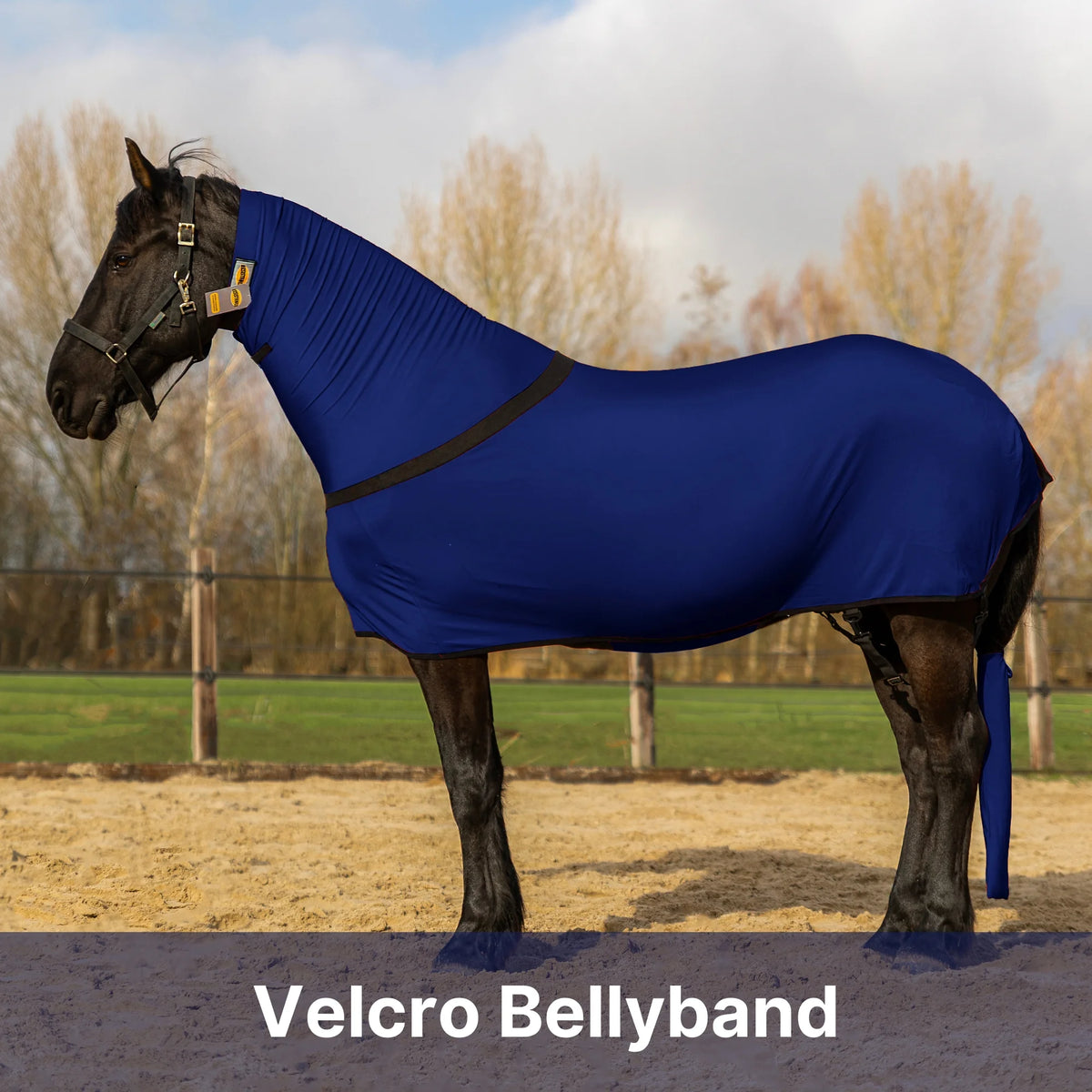 Premium Horse Full Body Slinky - Full Zipper & Faceless - Lycra Material - Available in 11 Colors