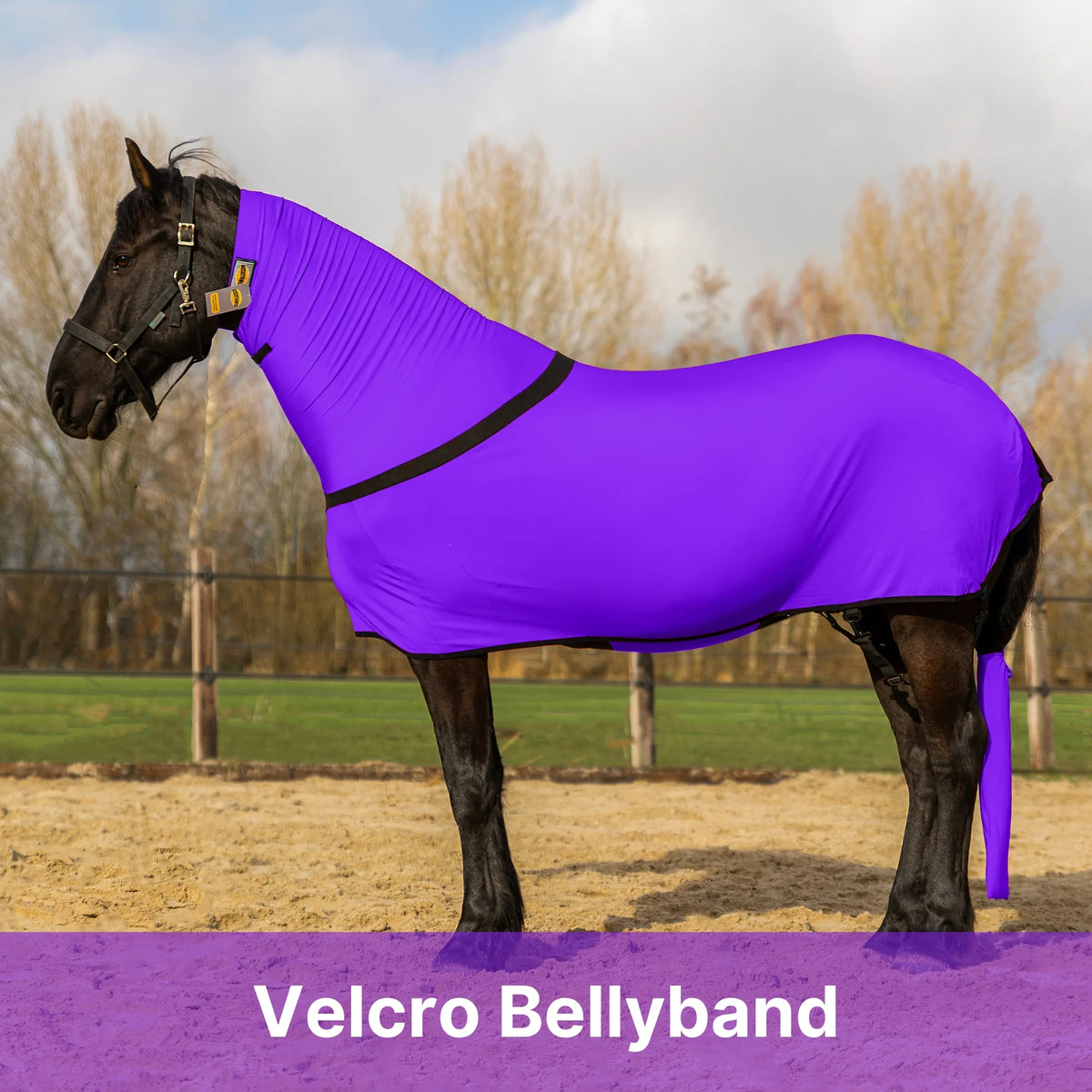 Premium Horse Full Body Slinky - Full Zipper & Faceless - Lycra Material - Available in 11 Colors