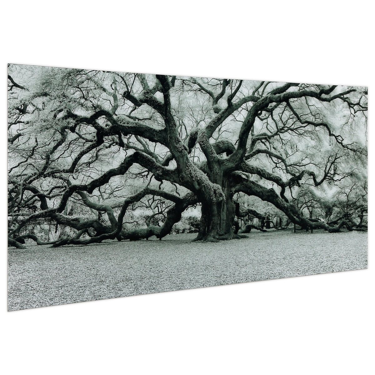 Empire Art Direct Blue Splash Frameless Free Floating Tempered Glass Panel Graphic Wall Art, 72" x 36", Ready to Hang