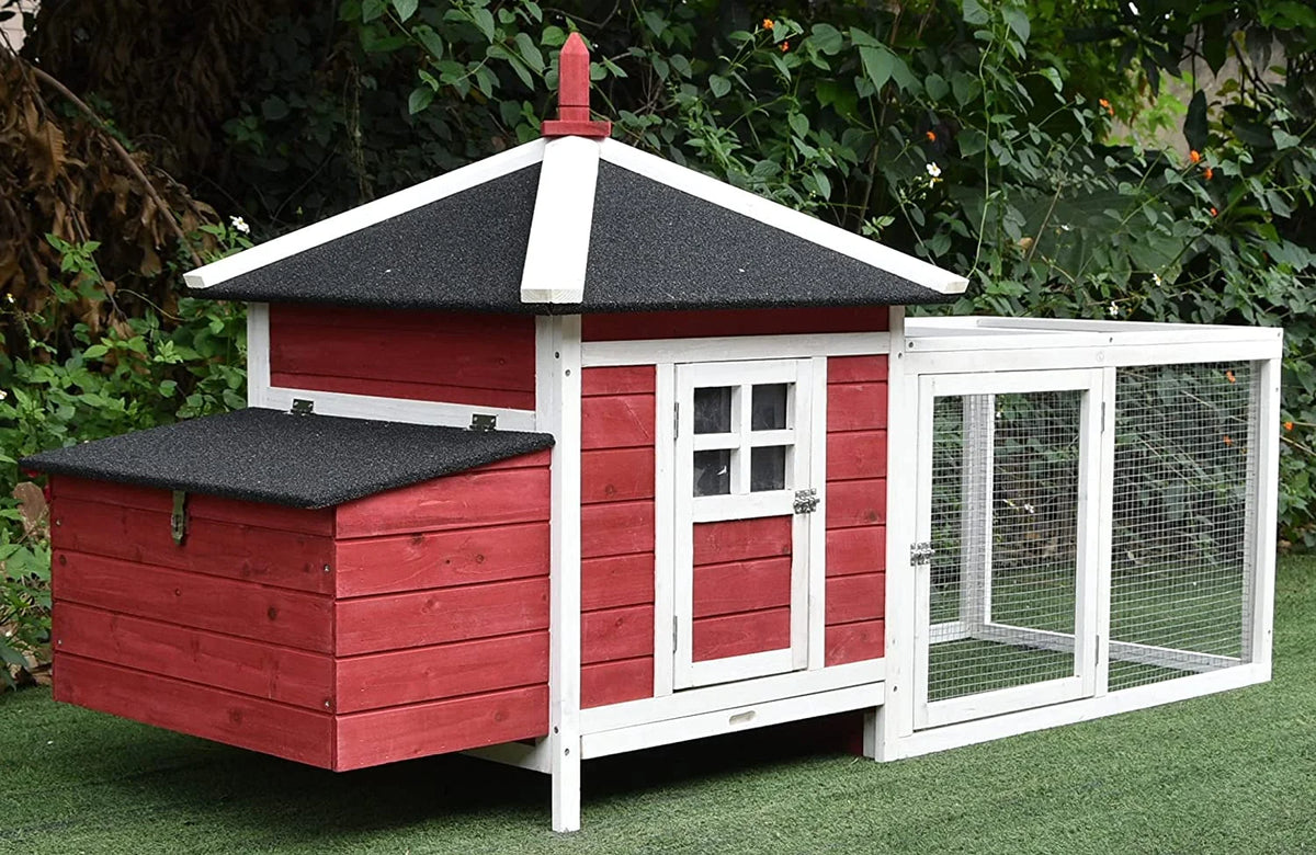 77" Solid Wood Backyard Chicken Coop with 2 Nesting Boxes