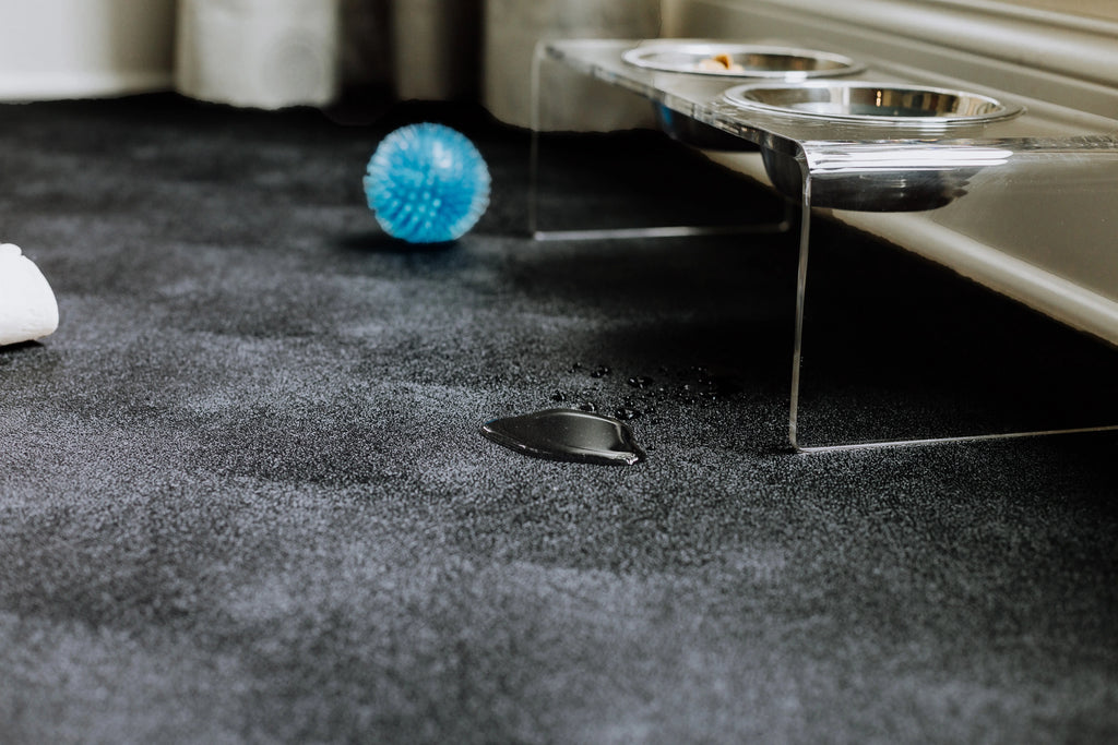 G-Floor 7.5' x 17' Vinyl Levant Pet Friendly Carpet Protector for Dogs & Cats - Midnight Black
