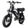 AVDL Electric Bike,16" Fat Tire Ebike,500W Motor,48V 12Ah Removable Battery,4x Suspension,38 Miles Pure Electric,55 Miles Pedal