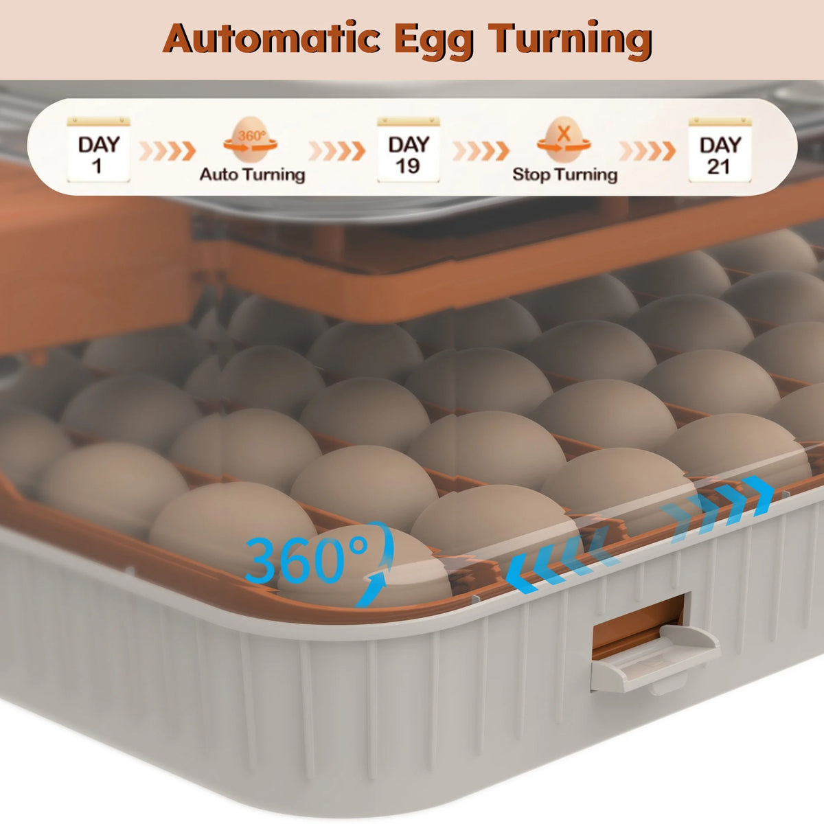 Montary 56 Egg Incubator: Auto Turning, Humidity Control & Water Refill for Chicken/Duck/Goose Eggs w/ Candler