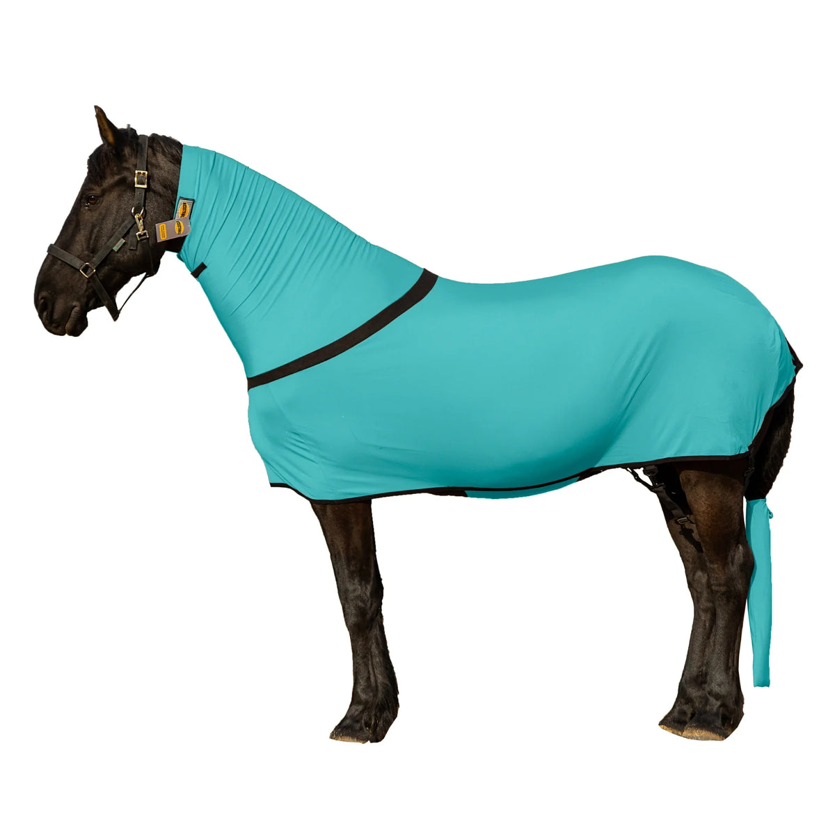 Premium Horse Full Body Slinky - Full Zipper & Faceless - Lycra Material - Available in 11 Colors