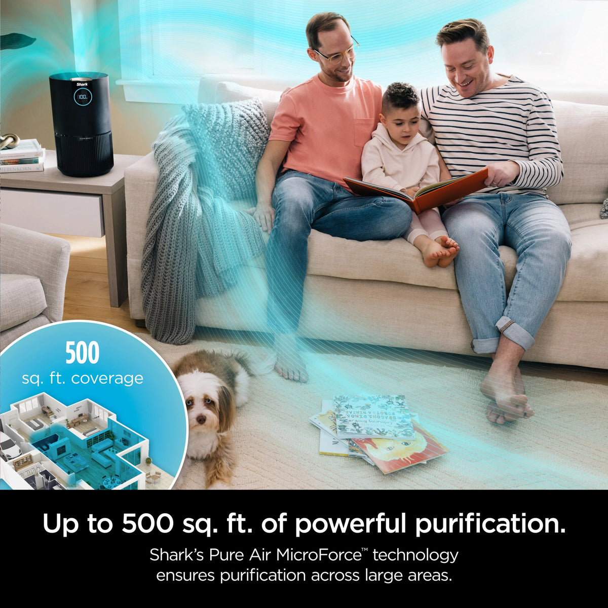Shark Air Purifier with Nanoseal HEPA, Cleansense IQ, Odor Lock, Cleans up to 500 Sq. ft, Charcoal Grey, HP100