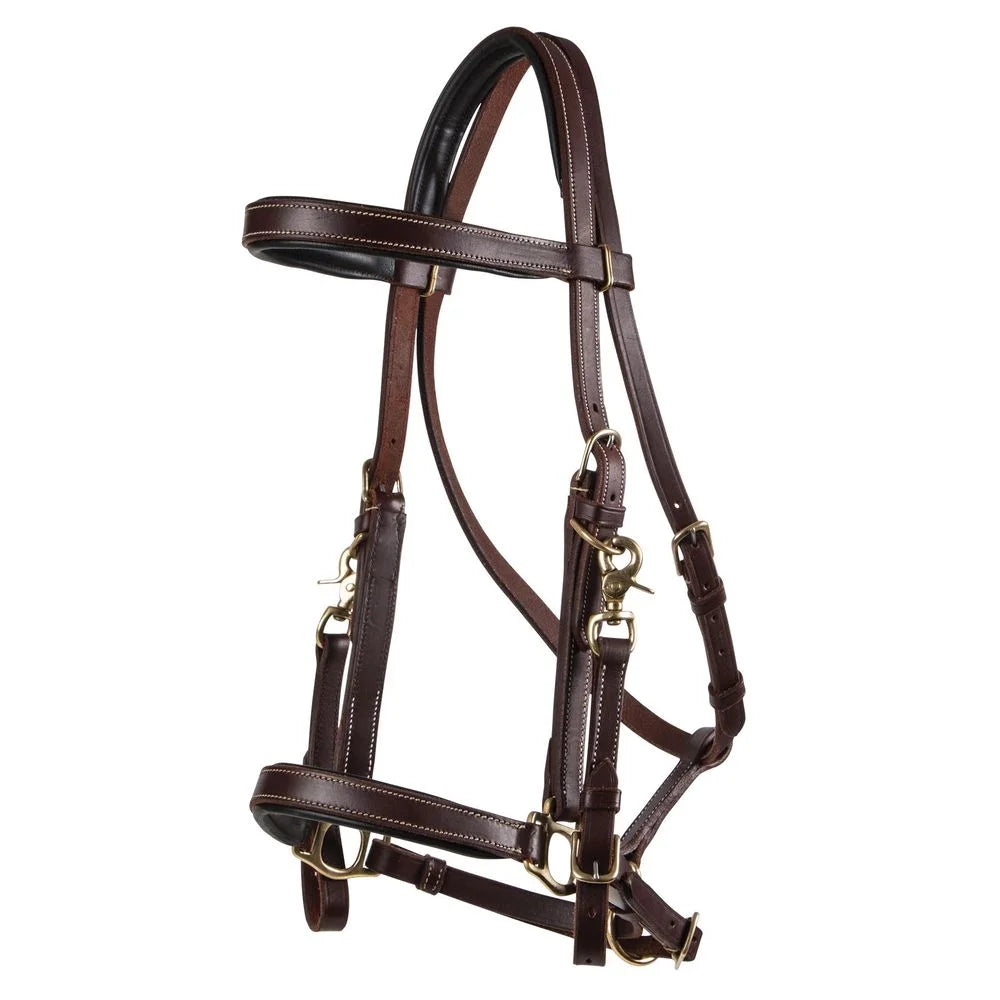 Billy Royal Deluxe Trail Halter for Horses Bridle Combo | Color Dark Oil