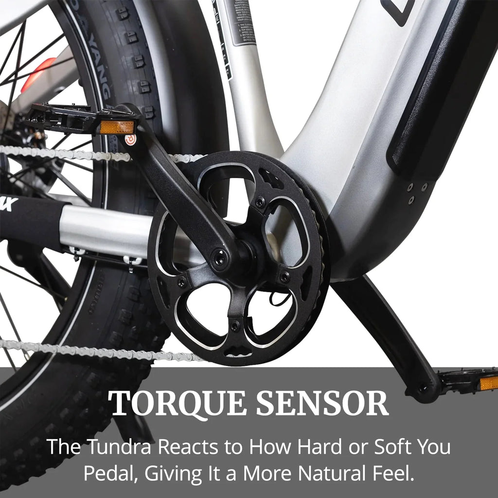GOTRAX Tundra Electric Bike for Adults, 750W 48V 26" x 4" Fat Tire Adult Dirt Electric Bicycle, 20MPH All Terrain Electric Mountain Bike, Step over, Silver