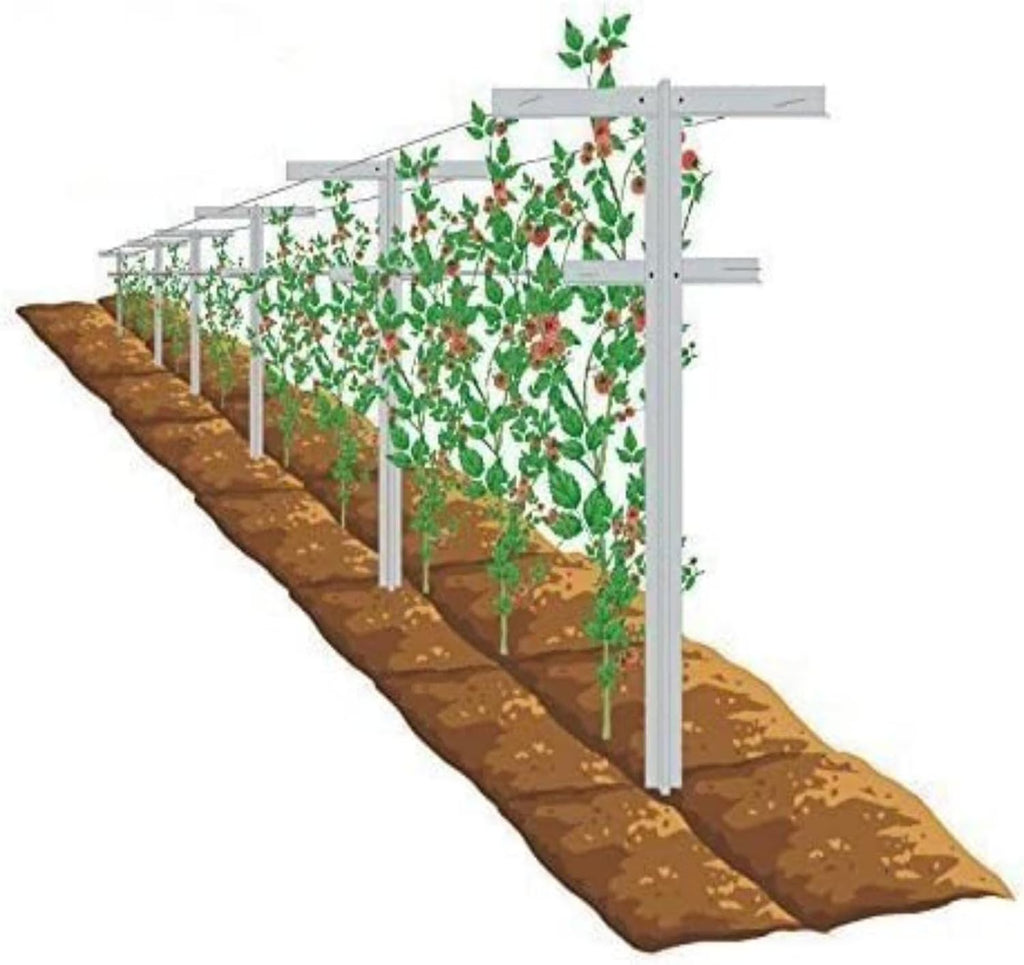 MRGARDEN 7-Feet Grape Vine Trellis, Heavy Duty 2pcs Set for Raspberry and Climbing , Outdoor Stake Vineyard Trellis, 2 Tall Trellises
