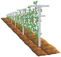 MRGARDEN 7-Feet Grape Vine Trellis, Heavy Duty 2pcs Set for Raspberry and Climbing , Outdoor Stake Vineyard Trellis, 2 Tall Trellises