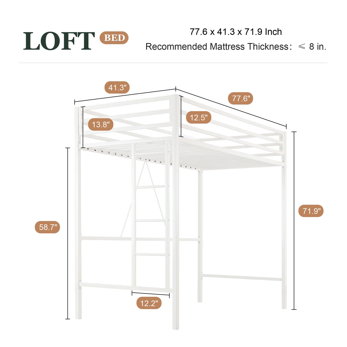 Amolife Twin Size Heavy Duty Metal Loft Bed with Removable Ladder & Full-Length Guardrail, Black