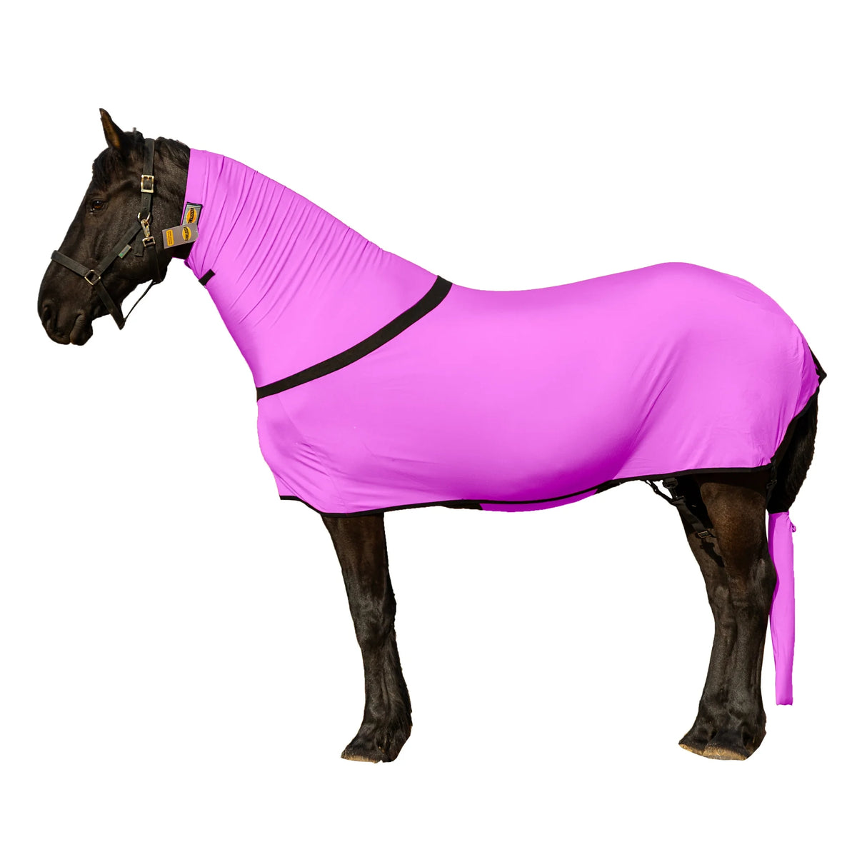 Premium Horse Full Body Slinky - Full Zipper & Faceless - Lycra Material - Available in 11 Colors