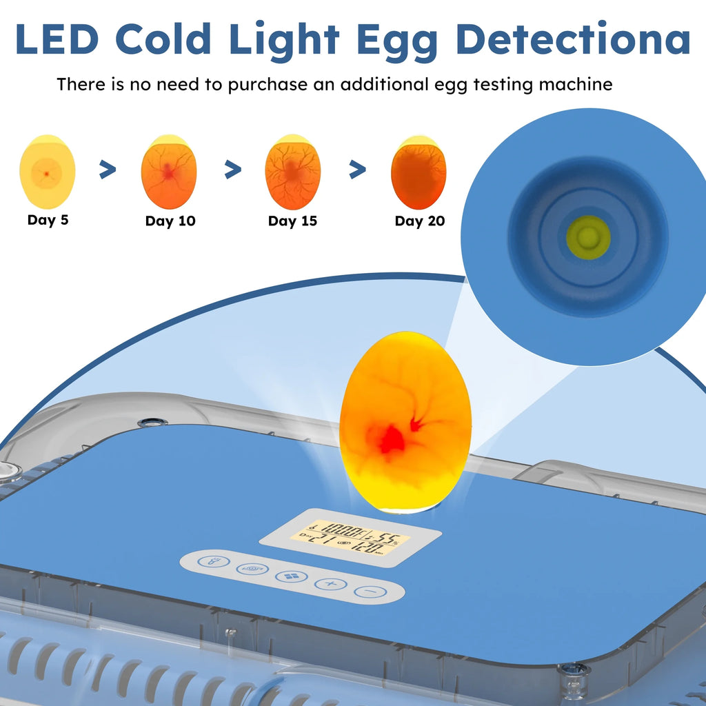Montary 56 Egg Incubator: Auto Turning, Humidity Control & Water Refill for Chicken/Duck/Goose Eggs w/ Candler