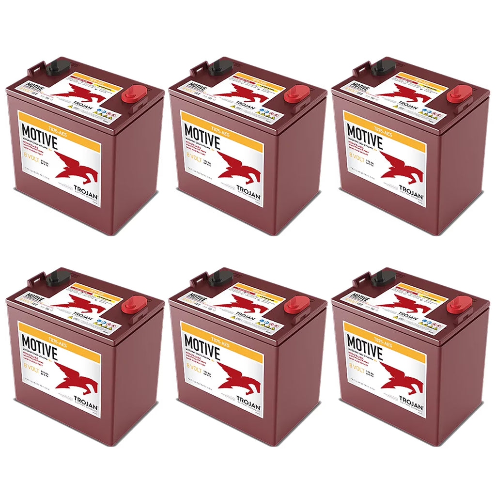 6 Pack of Trojan T875-AES 8V Superior Deep Cycling VRLA AGM Batteries