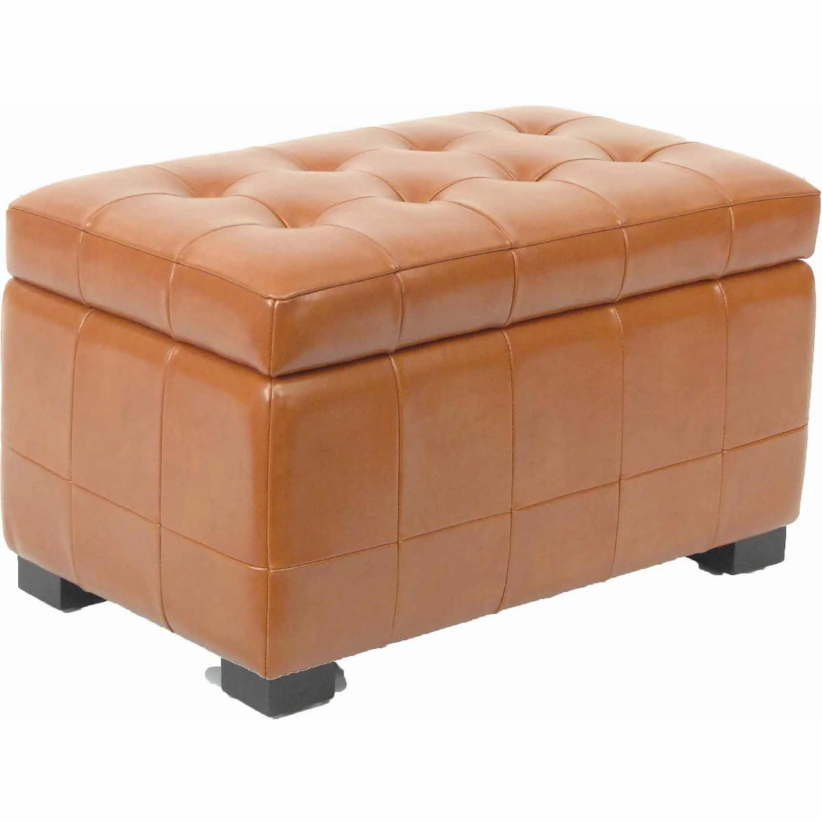 SAFAVIEH Small Manhattan Rustic Tufted Storage Bench, Brown