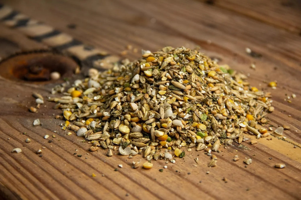 New Country Organics I Organic Olive Oil Layer Feed for Laying Hens | Corn-Free, Soy-Free | 17% Protein | High Omega-3 Chicken Feed | Organic Chicken Layer Food for Healthy Eggs & Hens | 40 lbs
