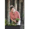 Keter Splendor 31.7 Gallon Raised Garden Bed with Self Watering and Drainage, Grey